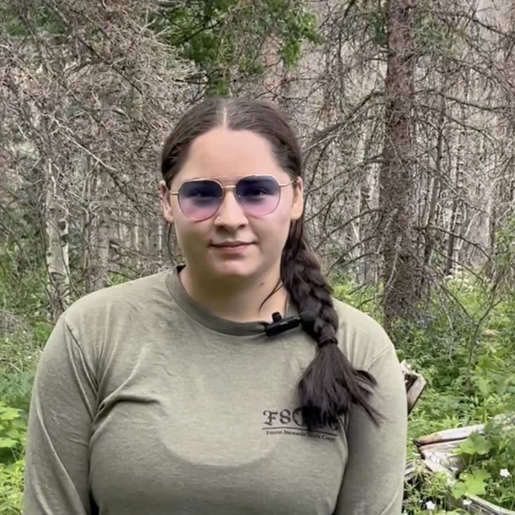 Screenshot 2025-06-05 at 11.33.35 AM